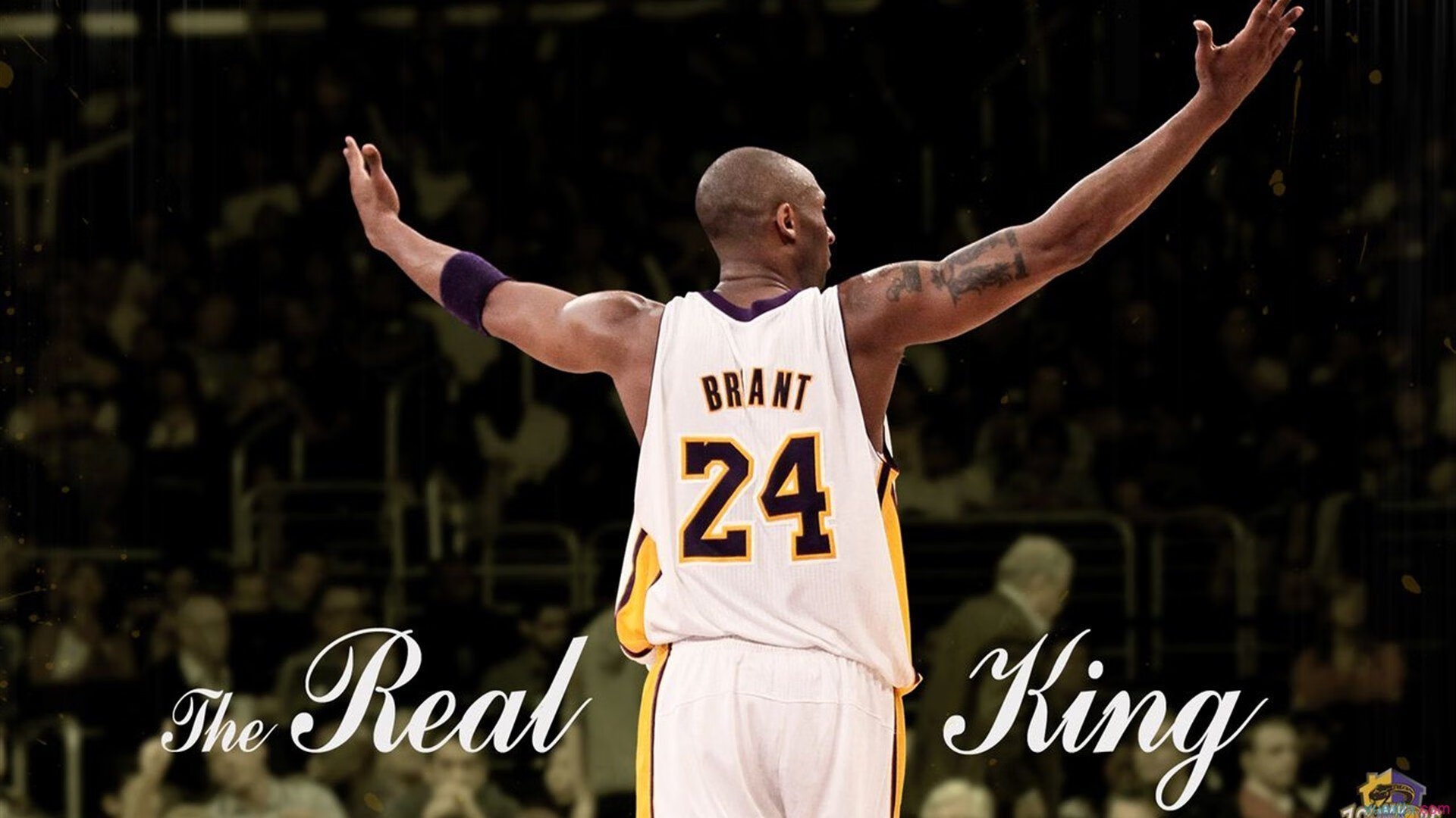 五大联赛球场设施投入逐步升级，五大联赛球址汇